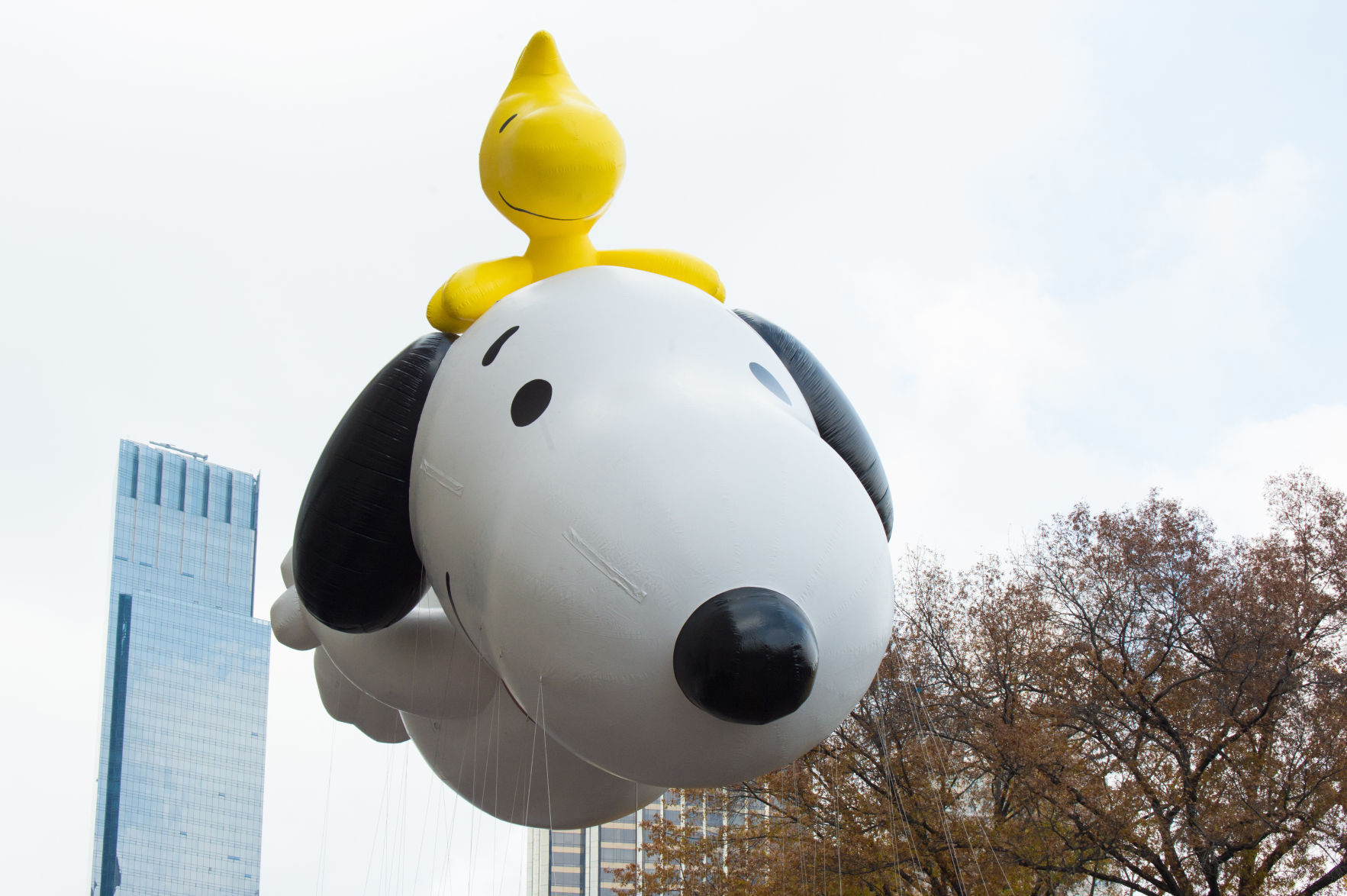 Snoopy